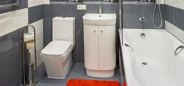 Hansgrohe Shaving Mirror West Fargo